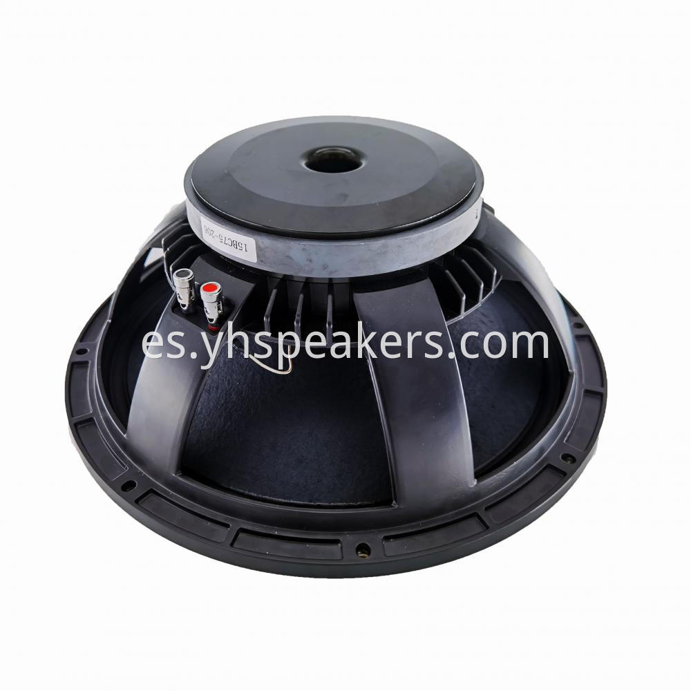 15 inch stage speaker for outdoor show